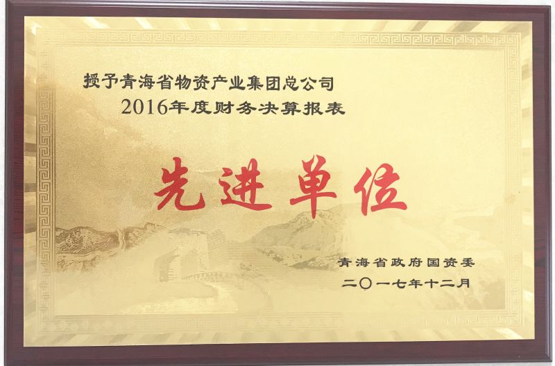 2016年度財務(wù)決算表先進單位