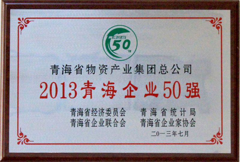 2013年青海企業50強