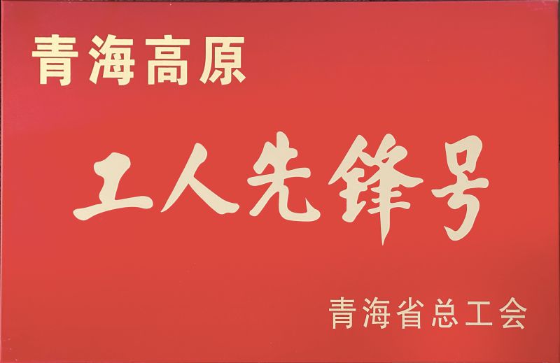 物產工投公司電解二車間被命名青海高原“工人先鋒號”